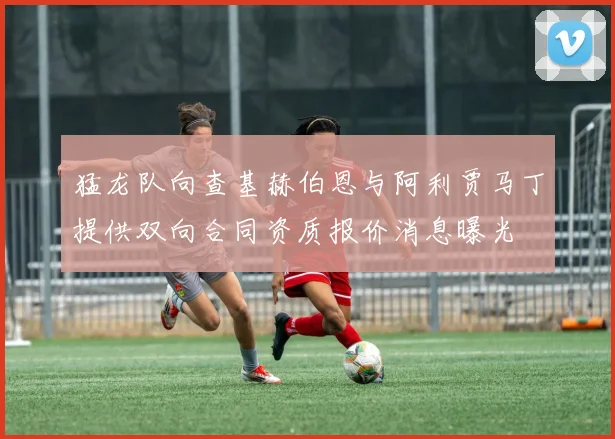 猛龙队向查基赫伯恩与阿利贾马丁提供双向合同资质报价消息曝光
